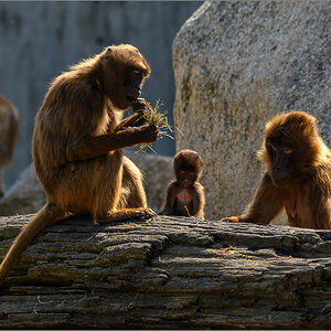 DZ7_3483-Bearbeitet.jpg
