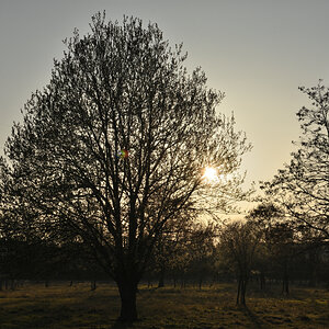 DSC_1269.JPG