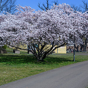OF2_55670.jpg