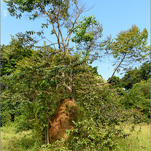 D75_9007.jpg