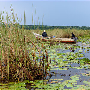 D75_9083.jpg