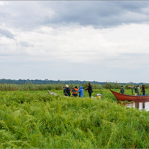 D75_9091.jpg