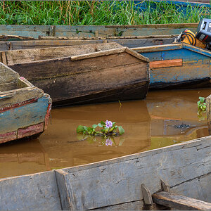 D75_9106.jpg