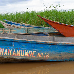 D75_9108.jpg