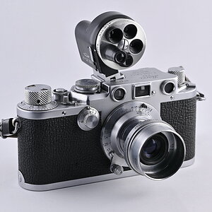ZSC_1451_nff.JPG