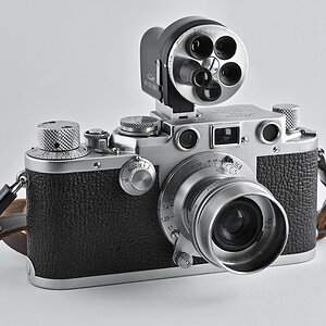 ZSC_1456_nff.JPG