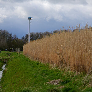 811_8159t5l15s70p1.jpg