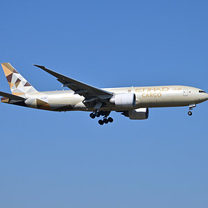 Z90_7229.jpg
