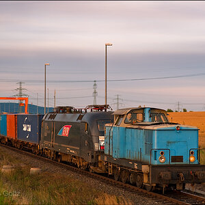 DSC8946