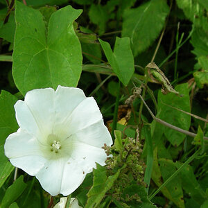 DSCN4246 copy