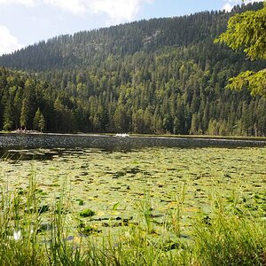 Arbersee