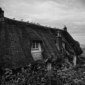 Cadgwith (Cornwall)