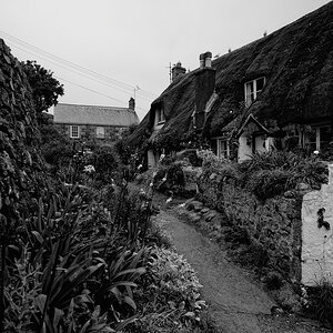 Cadgwith (Cornwall)