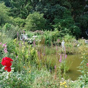Alle Farben sind in Natura viel kräftiger, v.a. das Grün. ( Automatik Einstellung: 6,3 / 1/160 Sek)