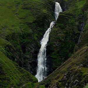 Gray Mare's Tail 1
