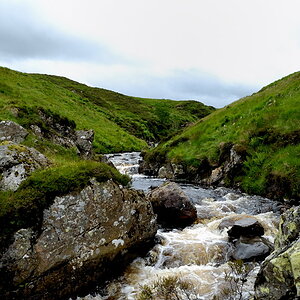 Gray Mare's Tail 2