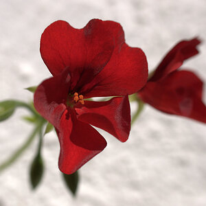 red3