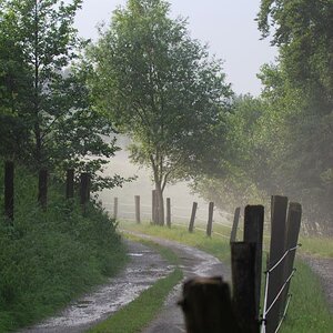 Nach dem Regen