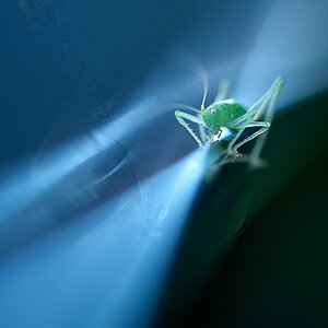 DSC 7222, D3, ZF2/100, f2