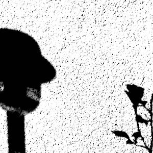 Schatten 24