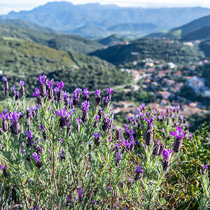 2022 Sardinien NF-F-8.jpg