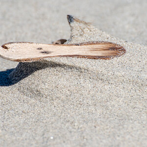 2022 Sardinien NF-F-13.jpg