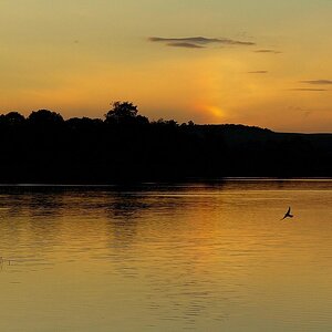 Sonnenuntergang mit Begleitung