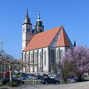 OF2_55782.jpg