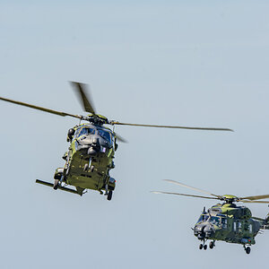 _D712513-sm.JPG