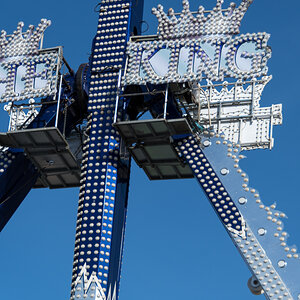 20220411-D50_7345.jpg