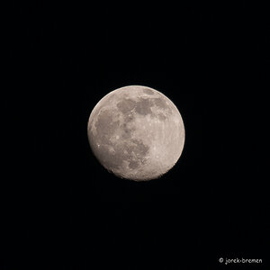 20220414-DSC_6309.jpg