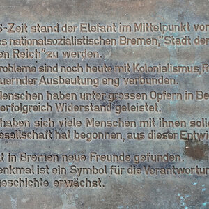 Elefant 2.jpg
