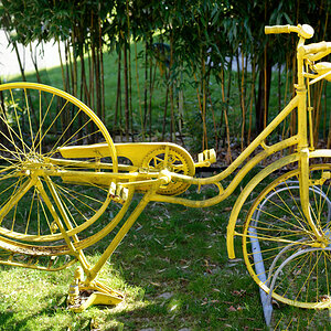 Das gelbe Spezialfahrrad.jpg