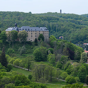 OF-59778.jpg