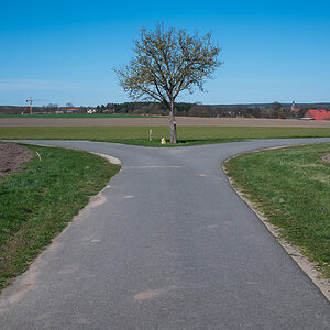 Gabelung (1 von 1).jpg