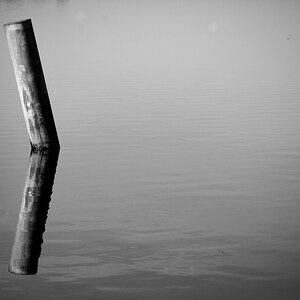 DSC_9591.jpeg