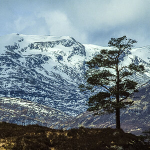 20170114-Schottland_1992_094.jpg
