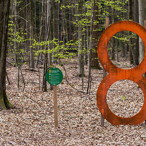 Die 8 im Wald (1 von 1).jpg