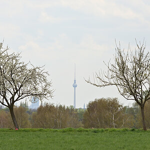 DSC_2063.JPG