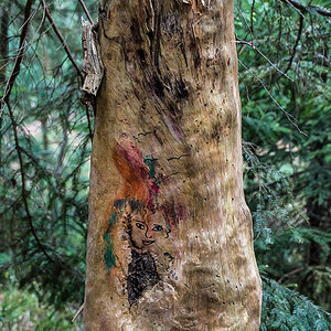 Kunst am Baum (1 von 1).jpg