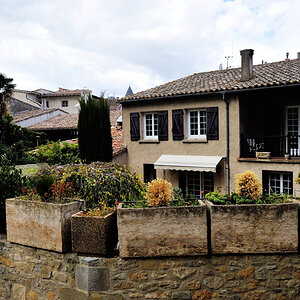 DSC_5942.jpg