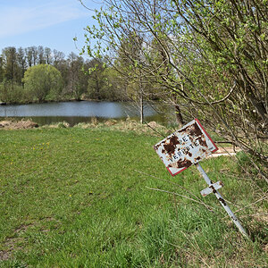 DSC_1981.JPG