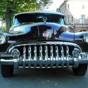American beauty II