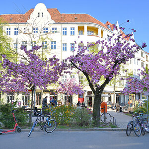 WKO_6304_NF.jpg