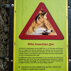 Fuchsbandwurm (1 von 1).jpg