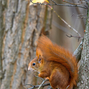 D50_6246-Bearbeitet.jpg