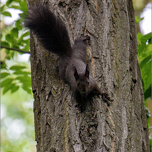 D75_0926-Verbessert-Bearbeitet.jpg