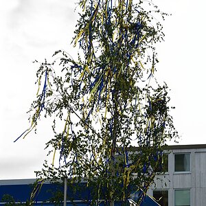 DSC8758_klein.jpg
