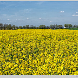 Havelland