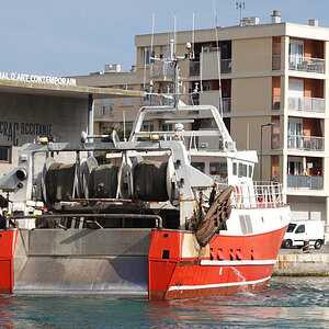 Schiff.4.jpg